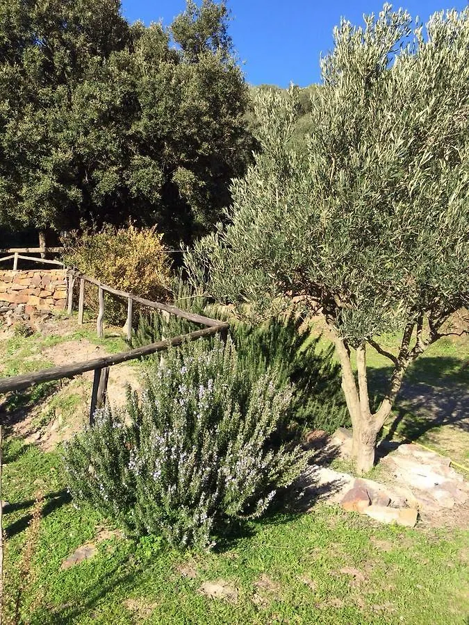 Sa Perda Lada Villa Fluminimaggiore Farm stay